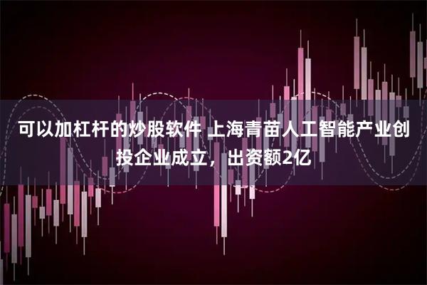 可以加杠杆的炒股软件 上海青苗人工智能产业创投企业成立，出资额2亿