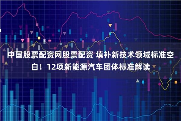 中国股票配资网股票配资 填补新技术领域标准空白！12项新能源汽车团体标准解读