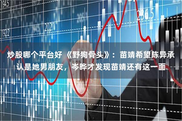 炒股哪个平台好 《野狗骨头》：苗靖希望陈异承认是她男朋友，岑晔才发现苗靖还有这一面